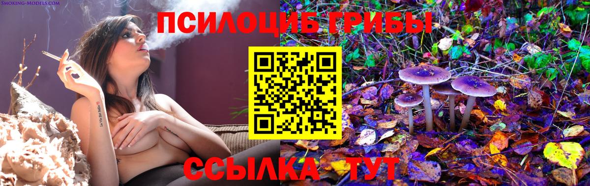 Псилоцибиновые грибы Psilocybe Сочи