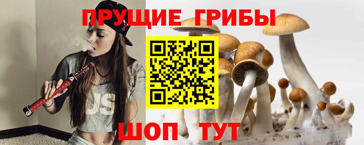 Псилоцибиновые грибы GOLDEN TEACHER  Вход с VPN  Псилоцибиновые грибы Psilocybine cubensis  Сочи 